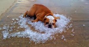 cm277-51514353-e18d-47ef-91aa-9aefe095bb7e-v2-300x158